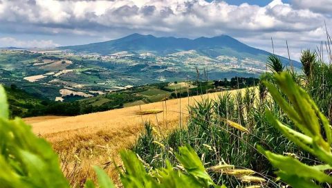 Settimana del Pianeta Terra: tutti gli eventi in giro per l'Italia