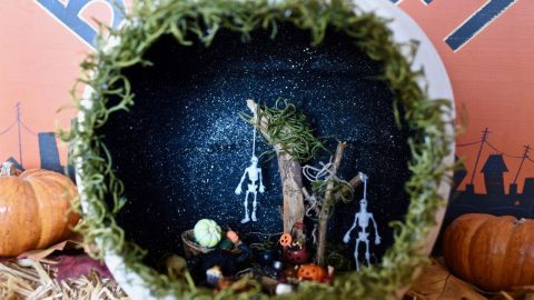 zucca Diorama
