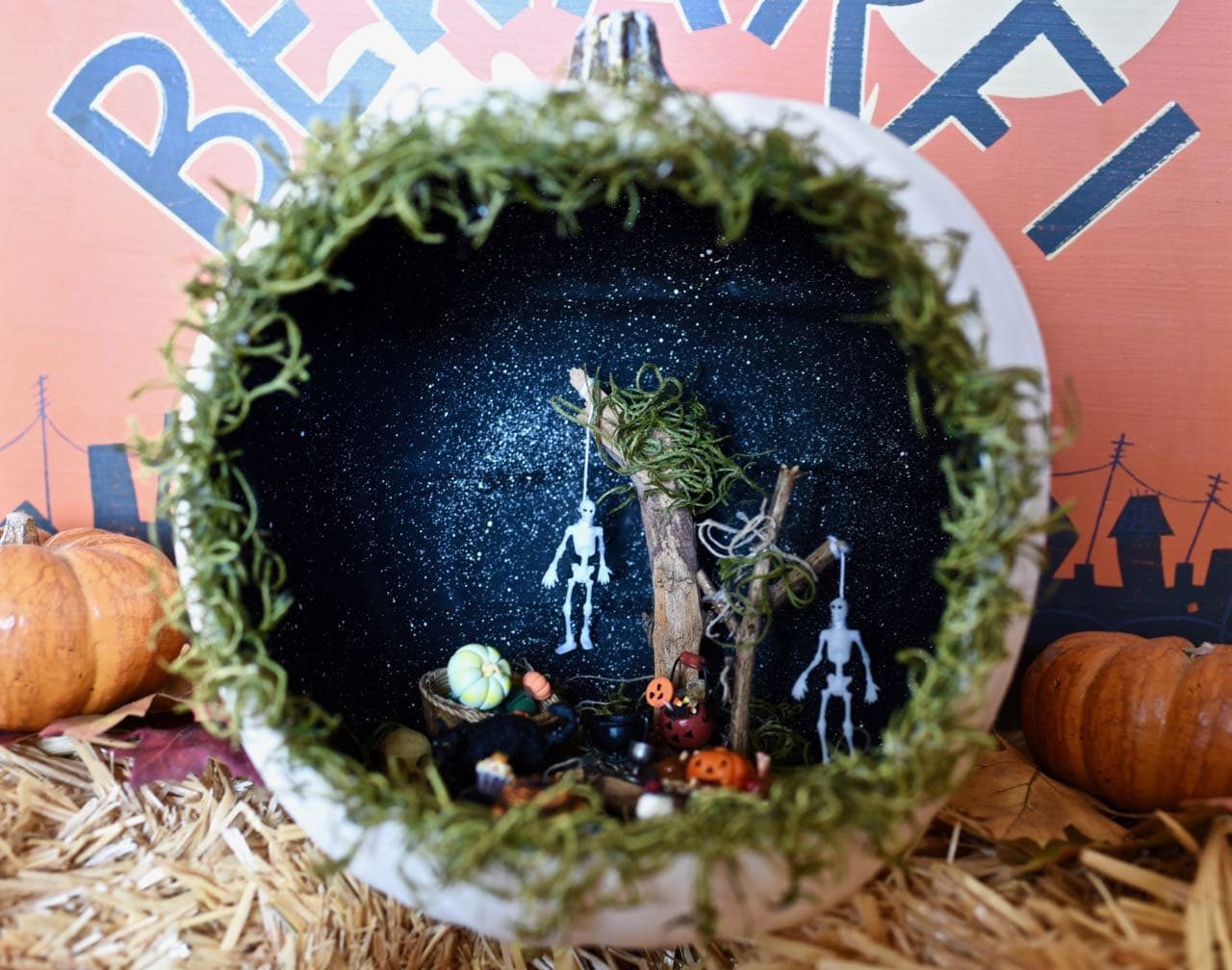 zucca Diorama