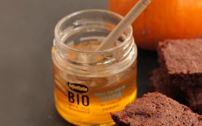 Brownies alla zucca e miele di acacia