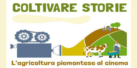 Coltivare storie cinema