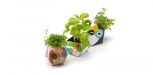 piantine origami