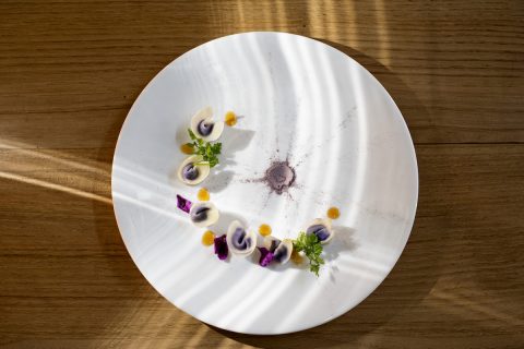 raviolini vegetariani