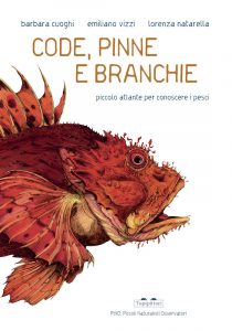 libri piccoli