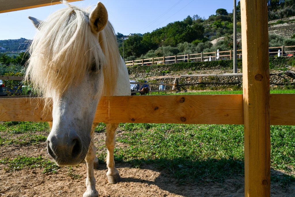 agriturismo Liguria