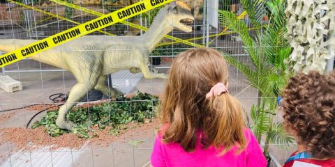 dinosauri torino