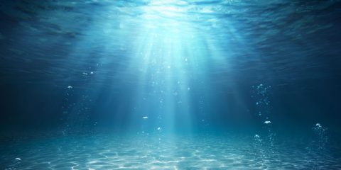 Tesoro blu: il mare è un ecosistema da proteggere