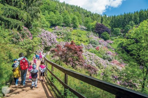 Uno scrigno di verdi meraviglie: l’Oasi Zegna