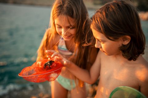 Granchietti e altri animali: rispettiamo la spiaggia