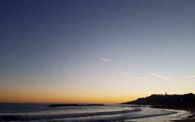 Taggia: la Liguria delle spiagge e delle olive