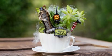 happy-halloween