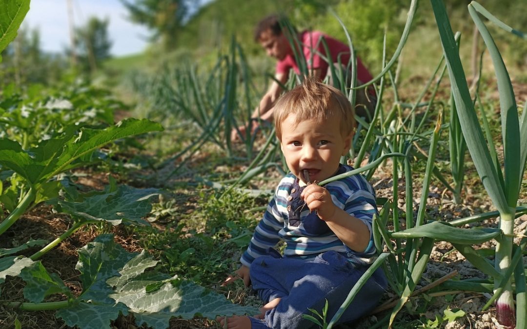 La Casa del Cuculo: due famiglie e un ecovillaggio