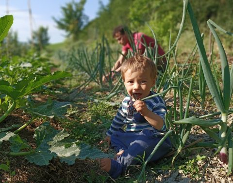 La Casa del Cuculo: due famiglie e un ecovillaggio