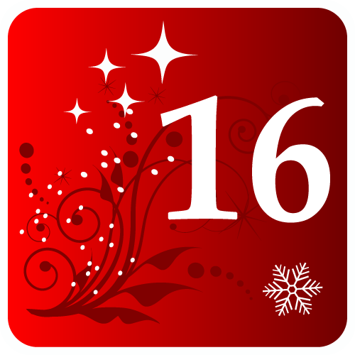 door-Day 16