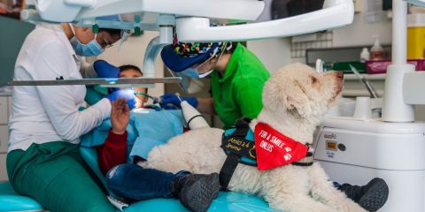 DOG THERAPY