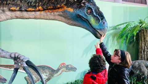 esposizione dinosauri porta nuova