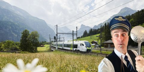 DSC_8812-(2)