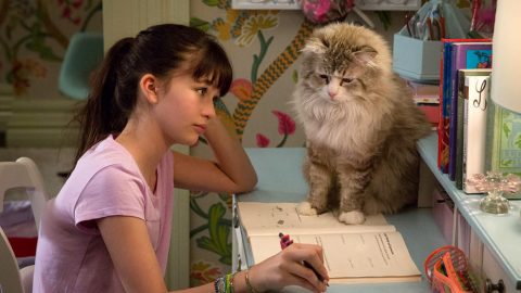 Vita da gatto e le novità di aprile al cinema