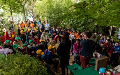 Momenti di incanto nel Bosco degli scrittori