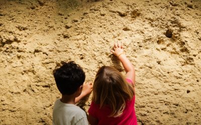 Monferrato family: alla scoperta dei fossili con gli storymovers