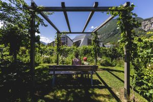 eventi MUSE estate