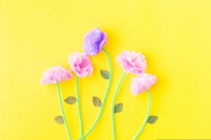 fiori carta