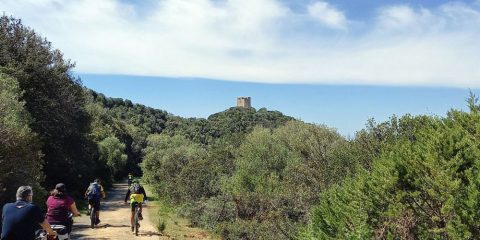 torre-collelungo_parco-della-maremma-in-bici
