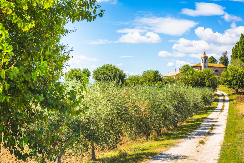 marche con bambini