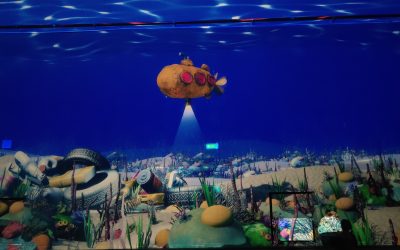 L’essenza dell’acqua: arriva a Torino la mostra immersiva