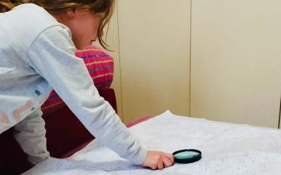 Giochi di logica e intuito (fino ai 99 anni)