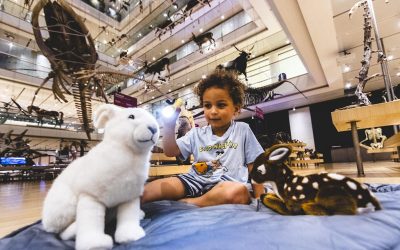 Protetto: Nanna al museo? Sì! Al MUSE di Trento