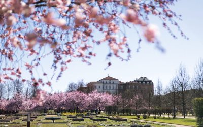 Meravigliosa primavera alla Reggia di Venaria