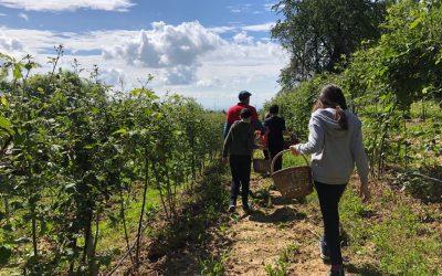 La fattoria sociale di Paideia: ripartono i workshop della domenica