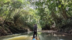 borneo sarawak