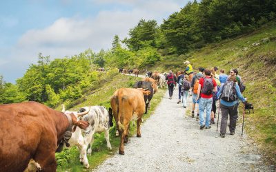 Transumando, felici, all’Oasi Zegna
