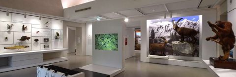 KosmosMuseo