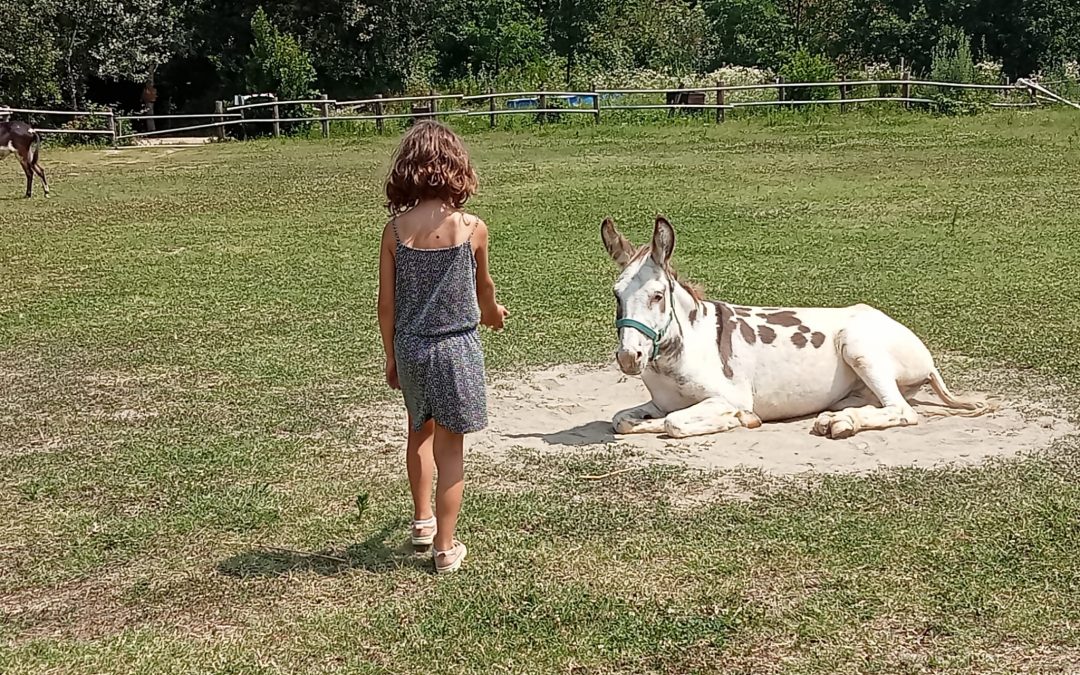 Anita e i suoi fratelli