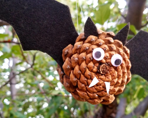 pineconebat