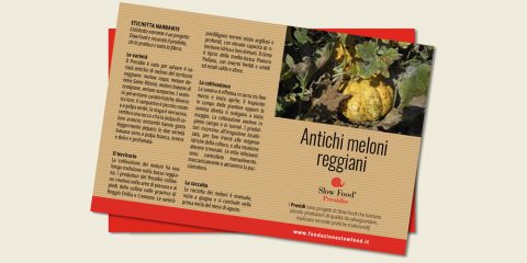 L’etichetta, questa sconosciuta etichette