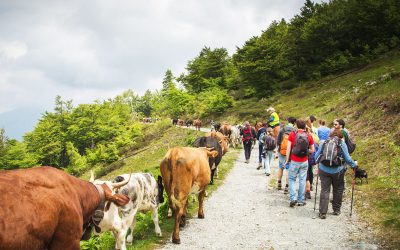 Transumando all’Oasi Zegna