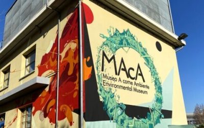 Ambiente, scienza, divertimento: i campi estivi del MAcA