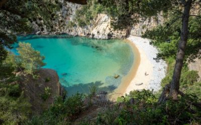 Alla scoperta del Cilento: mare, storia e borghi sospesi nel tempo