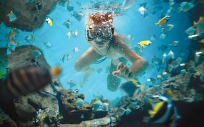 Bambini e acqua: cinque cose da tenere a mente per un’estate in sicurezza