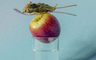 Il cibo come medicina: un nuovo Master all’Università di Pollenzo